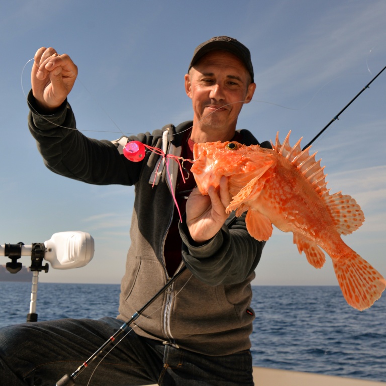 1-madais-kaburas-sont-tres-efficaces-chapons.jpg Les madaïs / kaburas sont très efficaces sur les poissons vivant sur le fond comme les chapons !