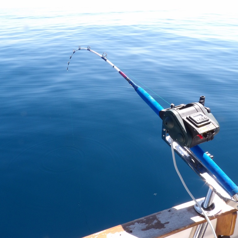 2-xl-600kristal-fishing.jpg Le XL 600 en train de remonter un beau calamar rouge !