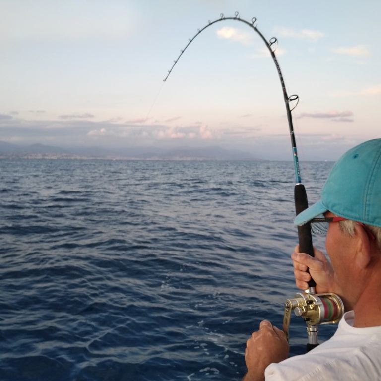 21-serioles-en-traine-lente-au-downrigger.jpg La technique du downrigger permet de combattre le poisson sans plomb et de pêcher plus light : plaisir garanti !