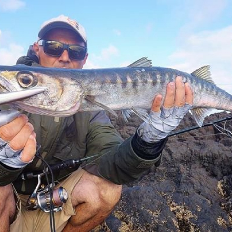 41seaspin-leurres-au-top--.jpg Mommotti 140, 180 et 190 sont des aimants à barracudas !