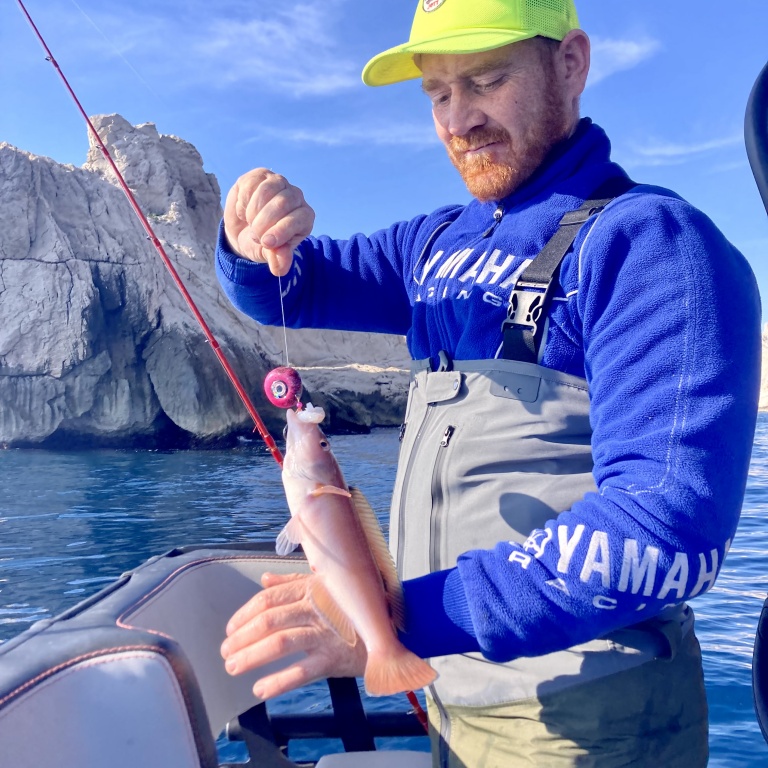 L’Omega Slider Tenya esché avec une crevette a permis a ce pêcheur de prendre ce beau labre