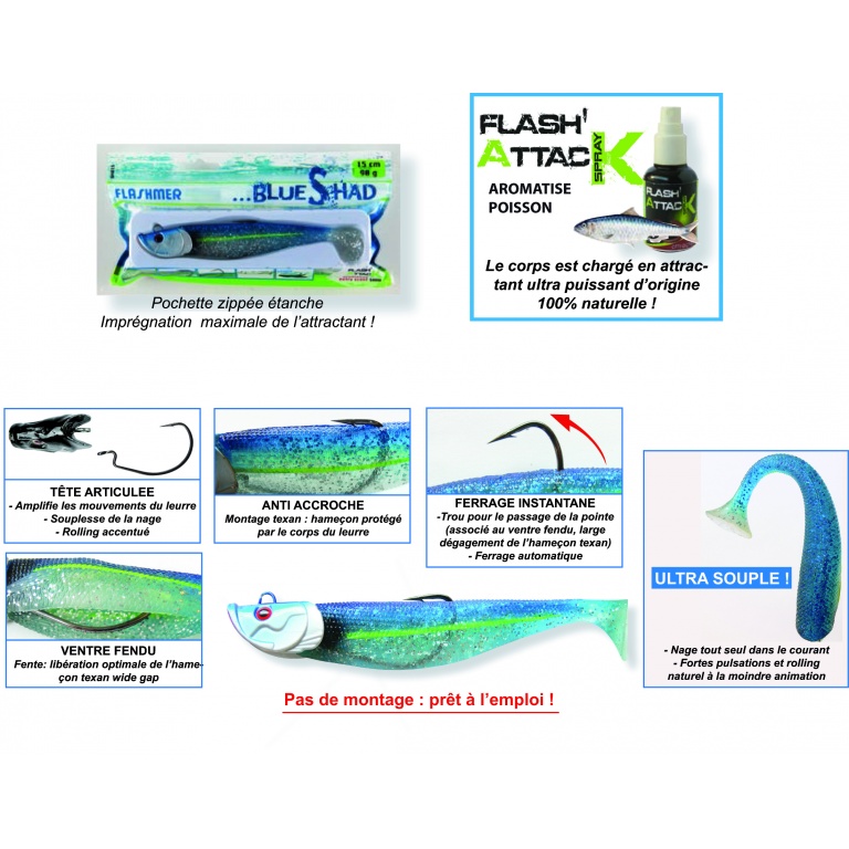 Caractéristiques du Blue Shad