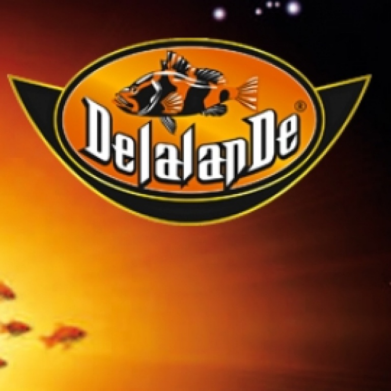 catalogue-delalande.jpg