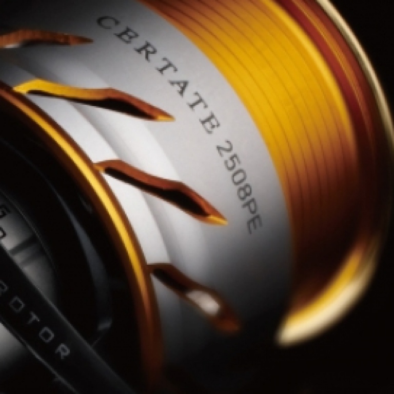 certate-2013.jpg