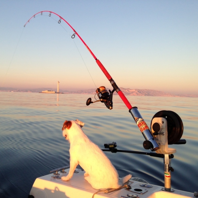 downrigger-la-peche-cool.jpg Downrigger une pêche profonde, — très cool —, ici avec un appareil manuel