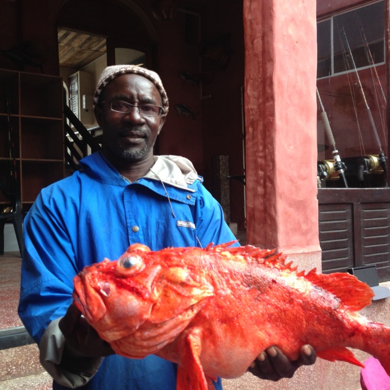 Rascasse prise au Sénégal par un client, 5,2 kgs 60 cm, pêchée à 375m de fond au large de Dakar (espèce locale)