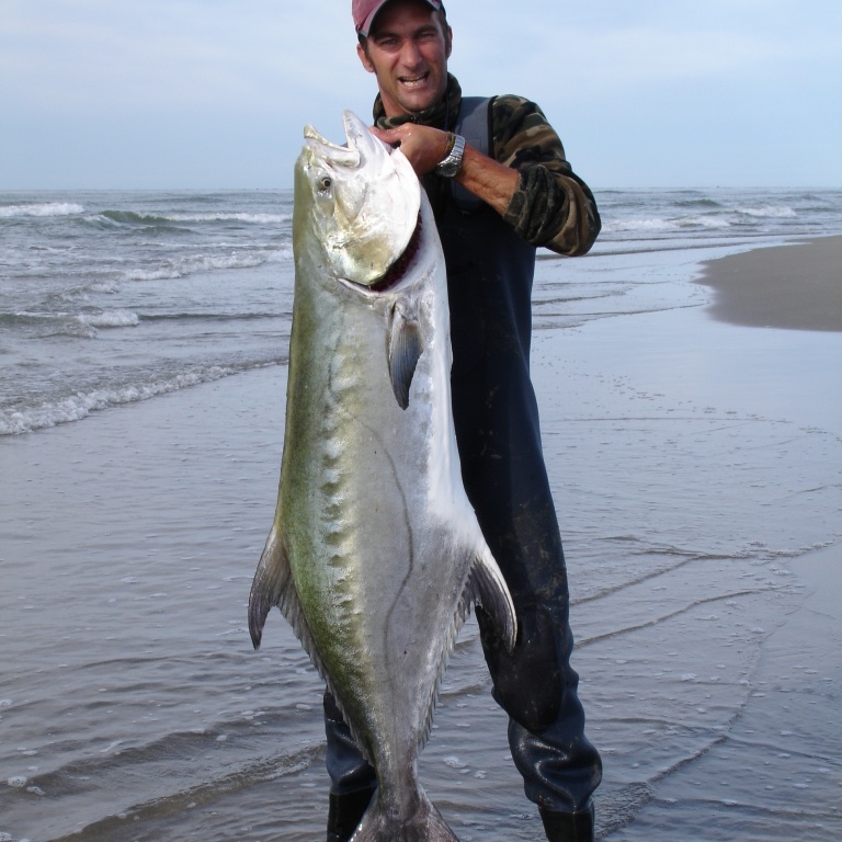 Liche de 28 kg du bord !