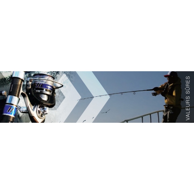 moulinets-le-point-sur-la-gamme-daiwa.jpg