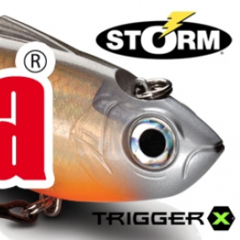 nouveautes-rapala-2013.jpg
