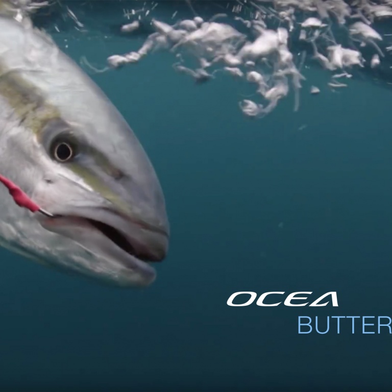 ocea-butterfly-wing-en-peche.jpg Aucune description