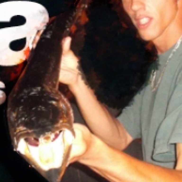 peche-de-barracudas-aux-leurres.jpg