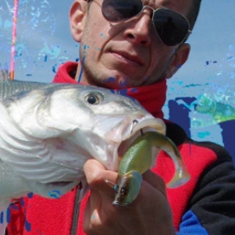 peche-en-bretagne-blue-shad-flashmer.jpg