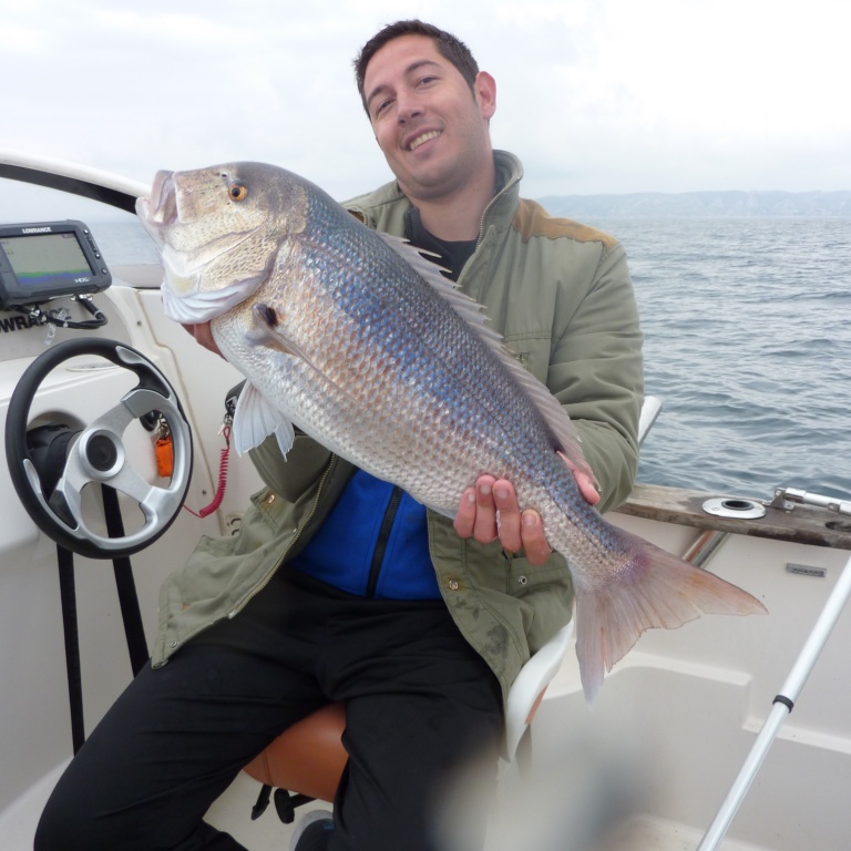 peche_fireball_denti_p1010810.jpg denti 2014