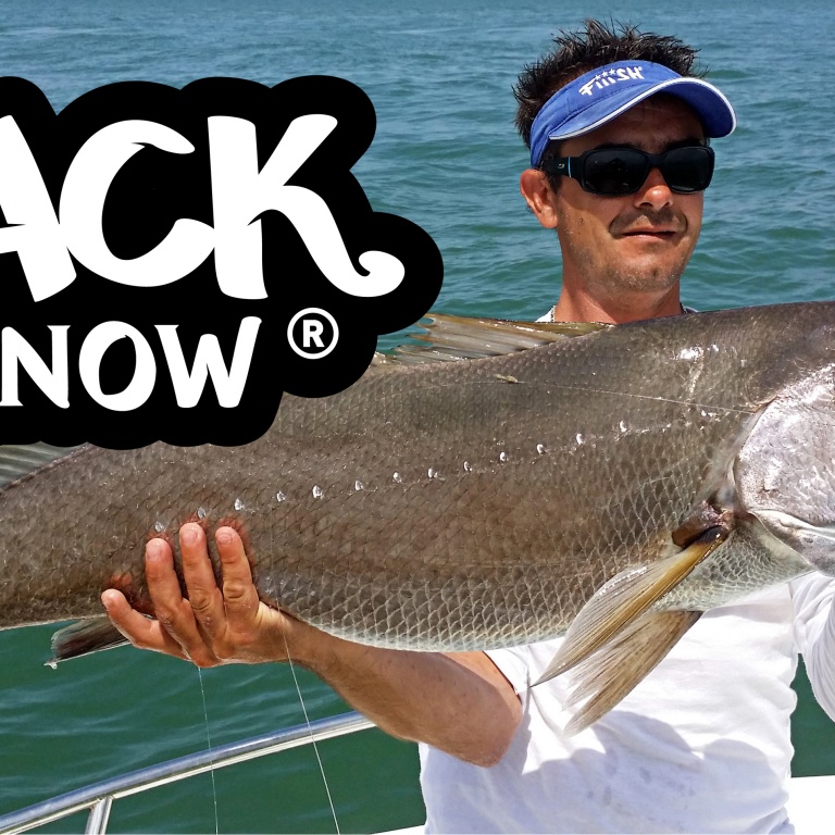 presentation-marque-fiiish-19-logo.jpg Encore un beau maigre qui a succombé au Black Minnow rose. Poisson de 9 kg pris par Will