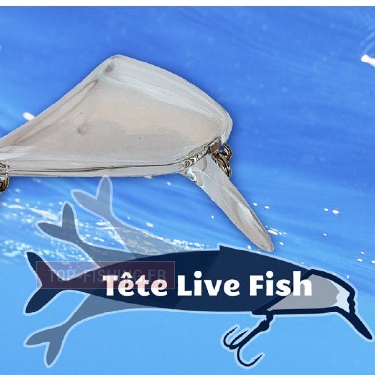 tete-live-fish.jpg Aucune description