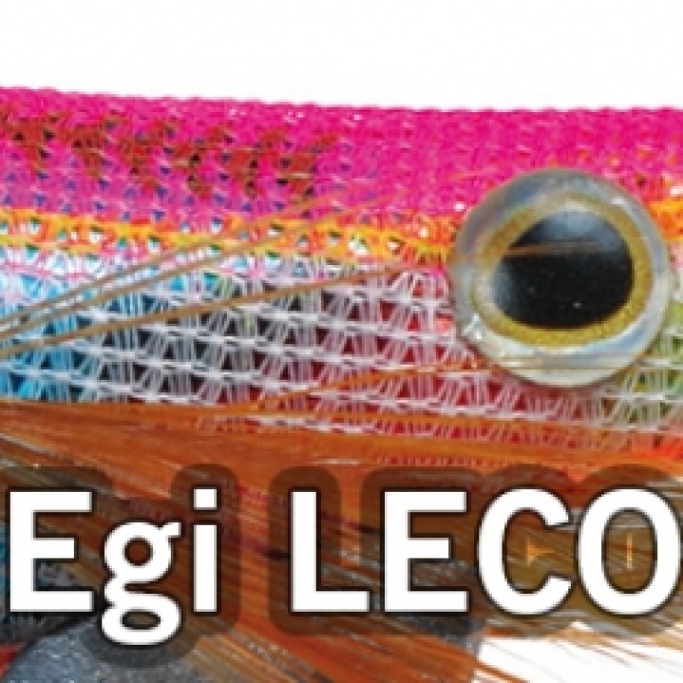 turlutte-egi-leco-de-owner.jpg