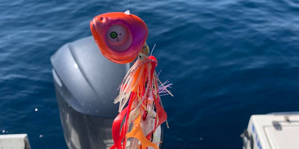Le Grumpy Fish Glowbite  est le premier madaï jig doté d’un œil lumineux, de billes bruiteuses et d’un diffuseur d’attractant. Une véritable révolution ! 
