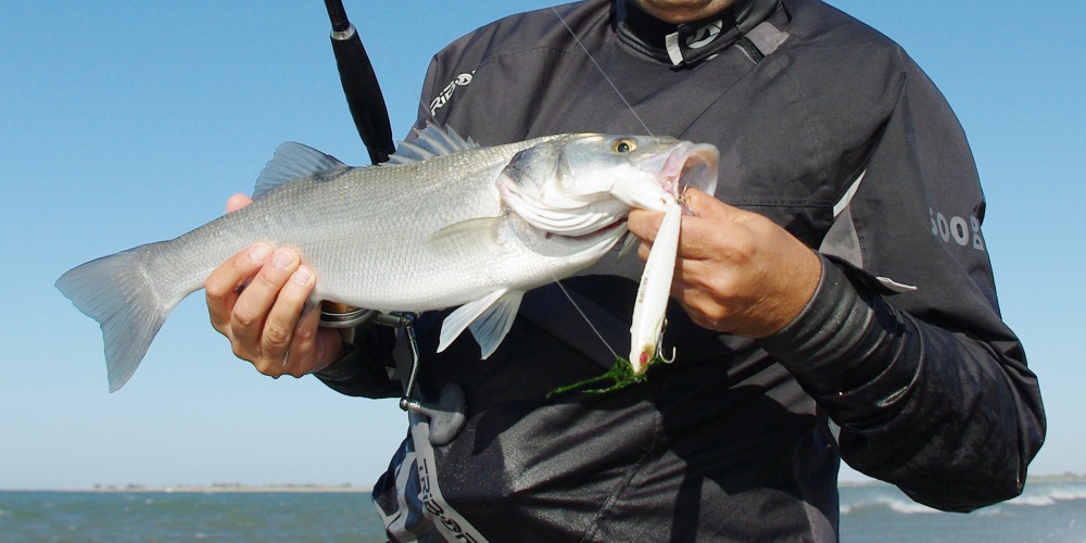 Les jig minnows sont parfaits pour pêcher les vagues en plage