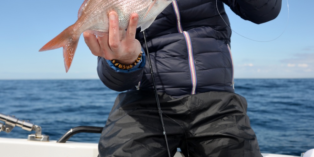 Encore une belle dorade rose pêchée au Kabura Explorer Tackle !