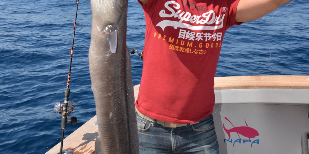 Encore un énorme congre pris  au madaï jig avec la canne Slow Pitch Italcanna – preuve de son incroyable puissance !