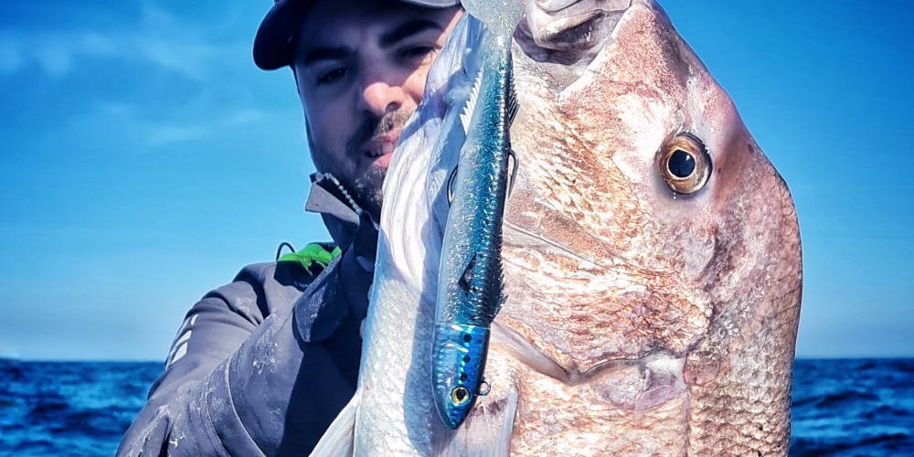 Ce denti pris uniquement avec l’assist hook du Real Fish JLC prouve que ce système est ultra performant sur cette espèce !