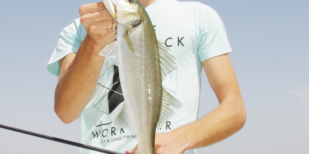 Le plus petit modèle d’Asturie Xorus (9 cm) est excellent pour les pêches fines !