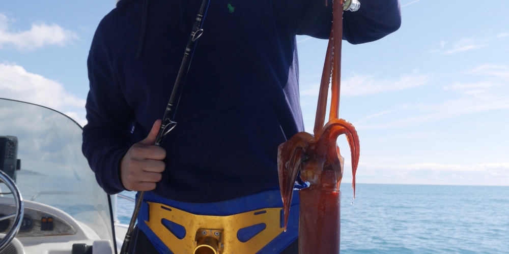 Un des stagiaires du guide Fabien Harbers avec un magnifique calamar rouge pris à la turlutte appâts
