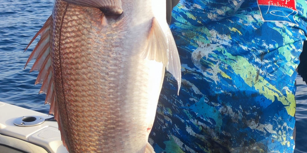 Le Fireball Top Sea est hyper efficace sur les beaux sparidés carnassiers
