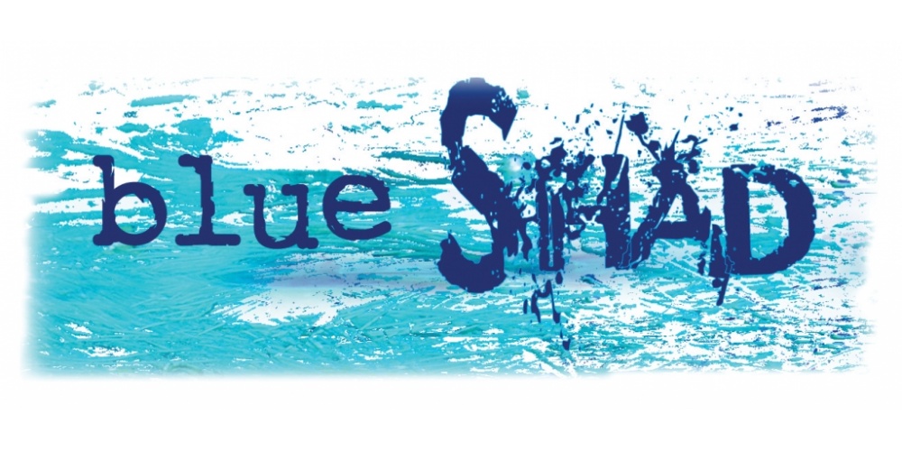 logo du blue shad de flashmer 
